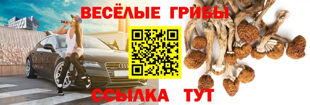 Псилоцибиновые грибы Psilocybine cubensis  Вход с VPN  Галлюциногенные грибы GOLDEN TEACHER  Рыбинск 